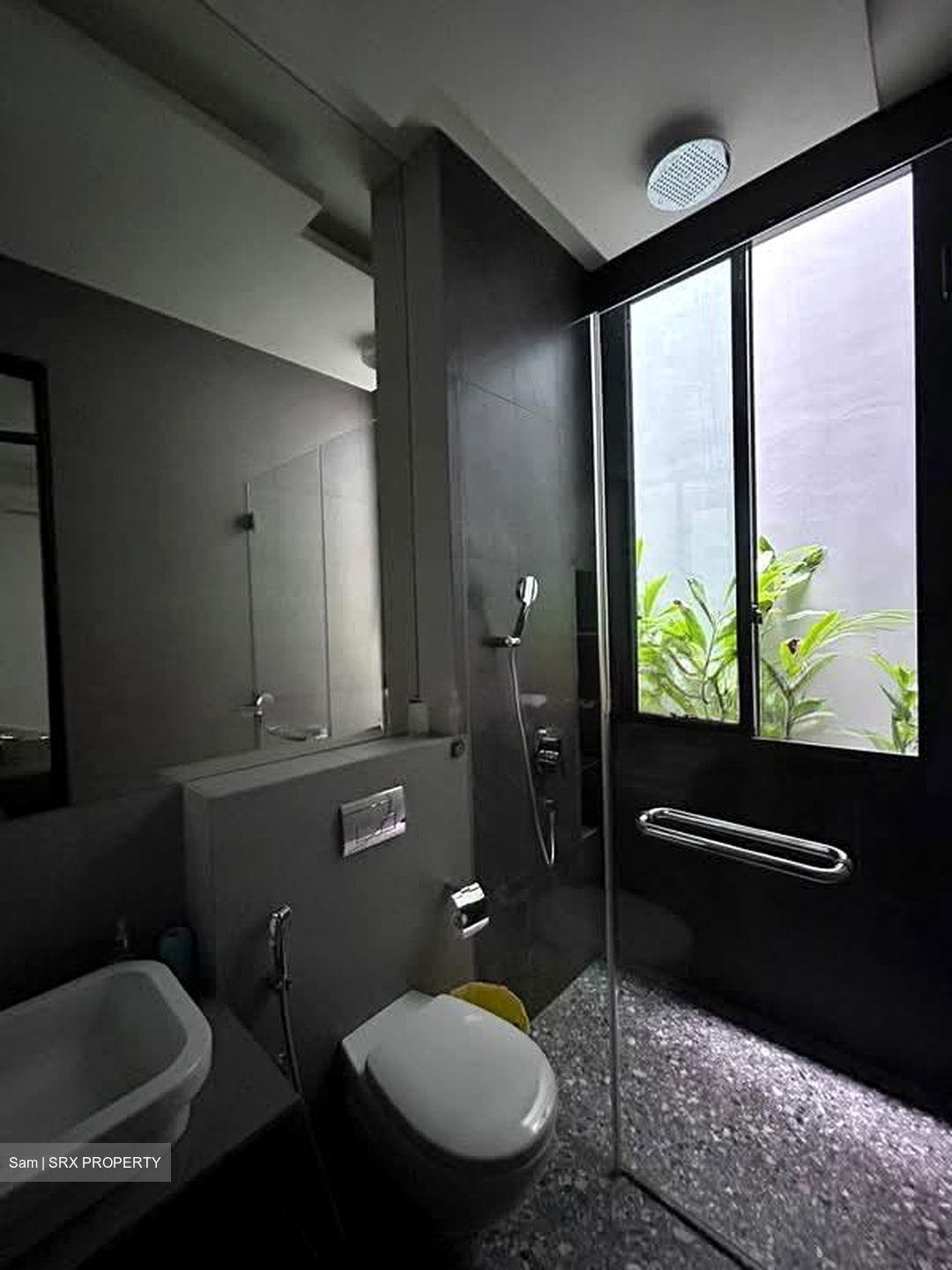 Opera Estate (D15), Terrace #532165341